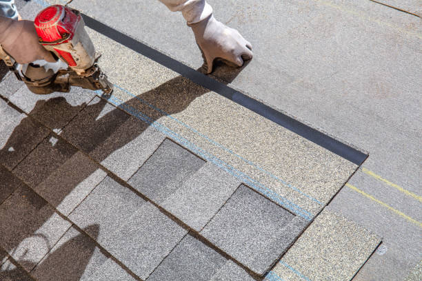 Best Roofing Contractor Near Me  in Wendell, NC